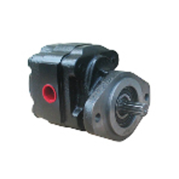 Bailey Hydraulics Birotational Gear Pump 2Bolt B Mount, 7/8" 13 Tooth